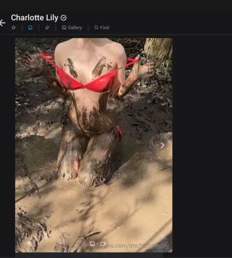 Image 11999389 from Charlotte Lily