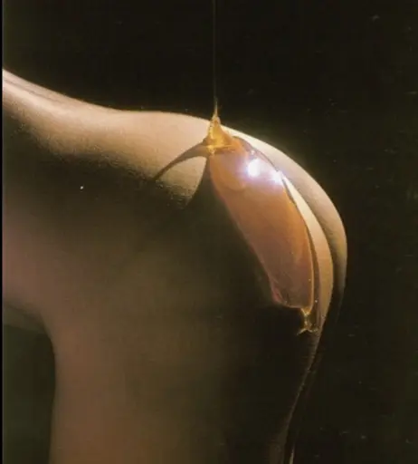 Image 11985961 from Sarah McDaniel (Krotchy) - cloudpeople