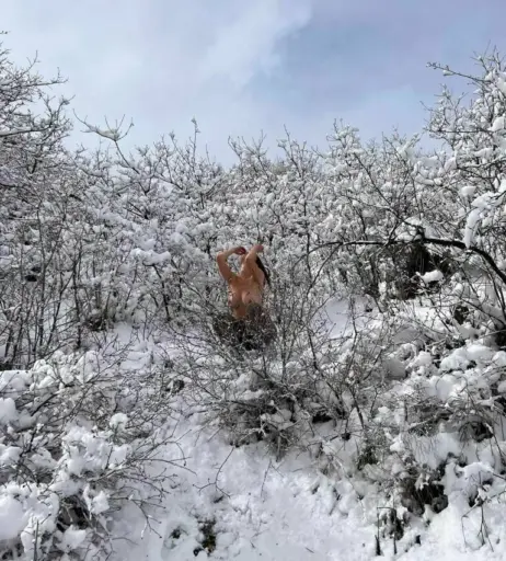 Image 11985956 from Sarah McDaniel (Krotchy) - cloudpeople