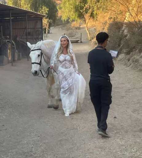 Image 11868406 from Jadelynmusic | Jadelyn Breier