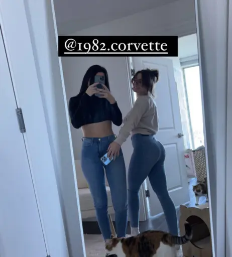 Image 11866687 from Classiccardad/ Classic Car Dad/ 1982.corvette