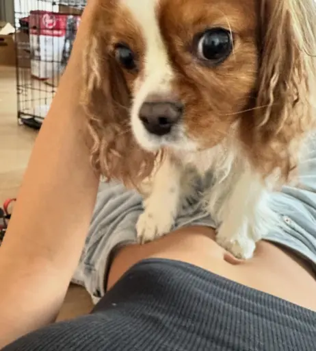 Image 11876554 from Reneé Monaco (peachmangojuice)