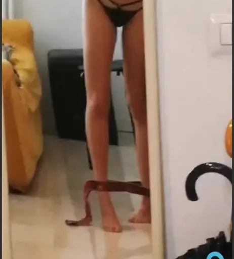 Image 11870516 from Lucrelisa - la.vica_ (twins)