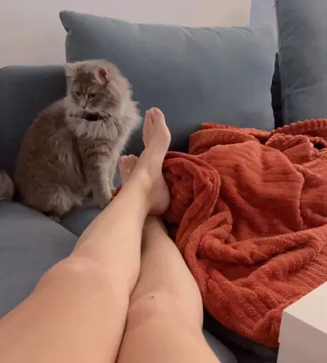 Image 11872104 from Gizem Bagdacicek (BaÄŸdaÃ§iÃ§ek)