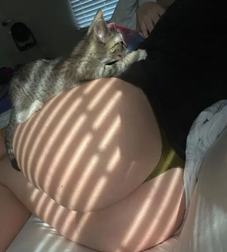 Image 11872256 from Tyler Idol / wildtyler96 / wild.ty96x