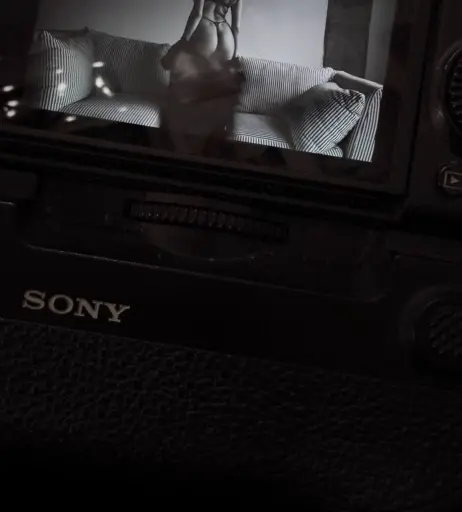 Image 11821517 from kari Pitinova / tikivulpes / Vulpes