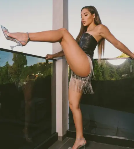 Image 1183293 from Abella Danger