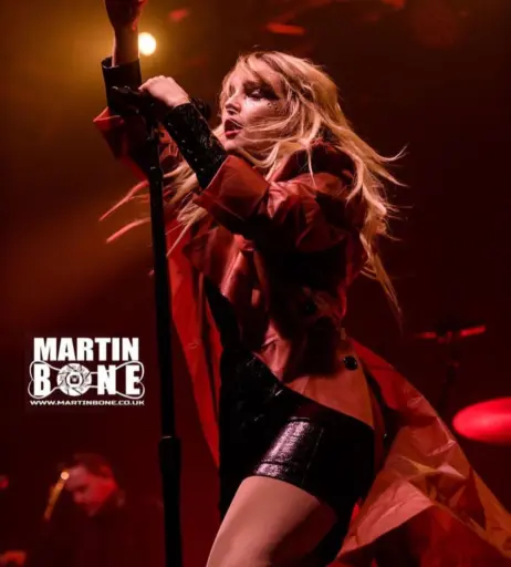 Image 11898598 from Lauren Mayberry (Singer)
