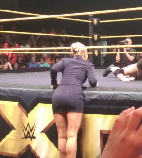 Image 11894723 from Ashley Sebera (formerly WWE Dana Brooke)