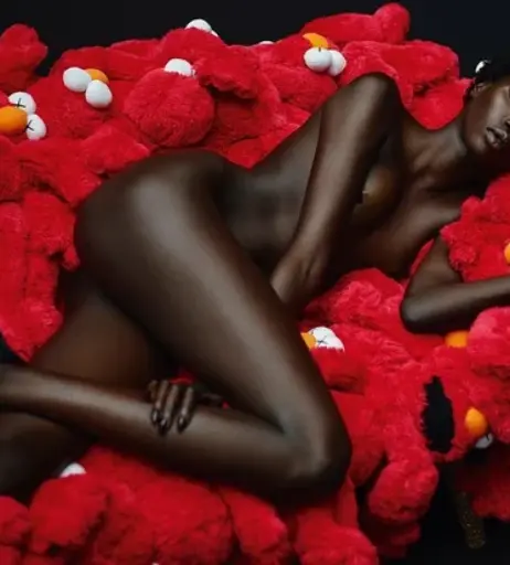 Image 11896426 from Anok Yai