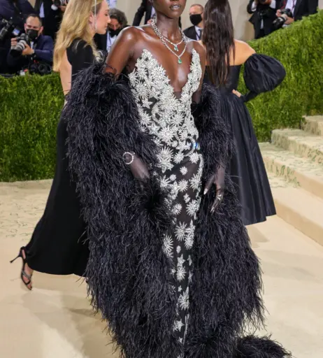 Image 11896461 from Anok Yai