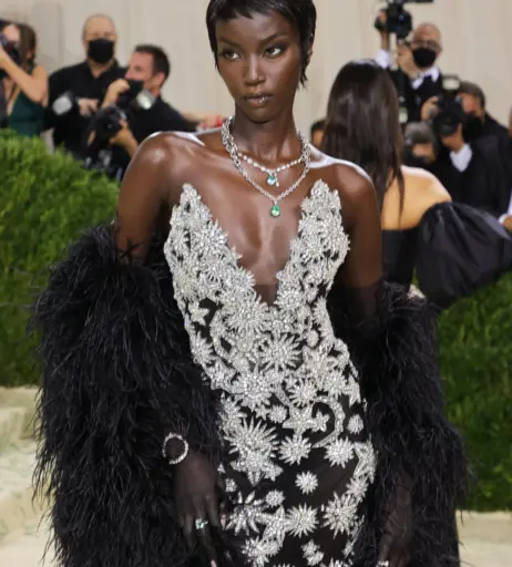 Image 11896451 from Anok Yai