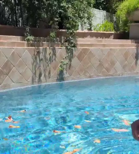 Image 11890410 from lil_lexii