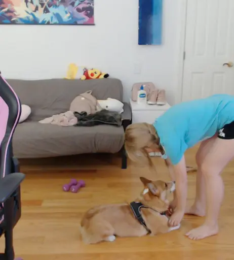 Image 11890452 from AngelsKimi (Plushys)