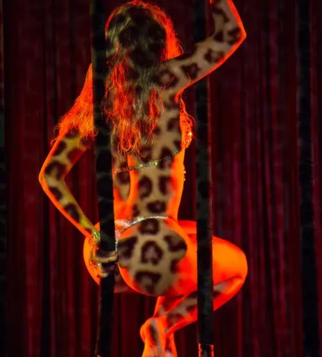 Image 11893178 from Beyoncé