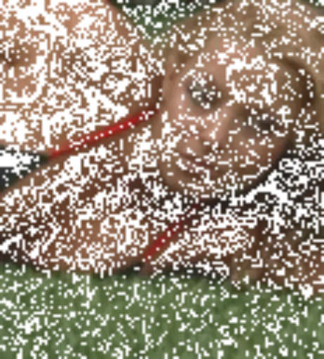 Image 11892683 from WWE Trish Stratus