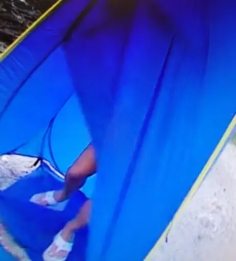 Image 11892663 from WWE Trish Stratus