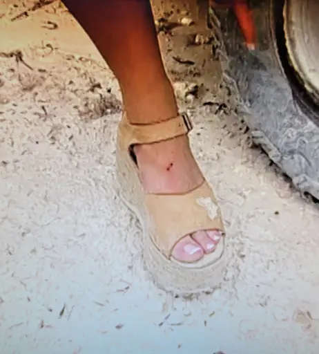 Image 11892653 from WWE Trish Stratus