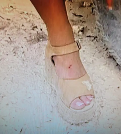 Image 11892652 from WWE Trish Stratus