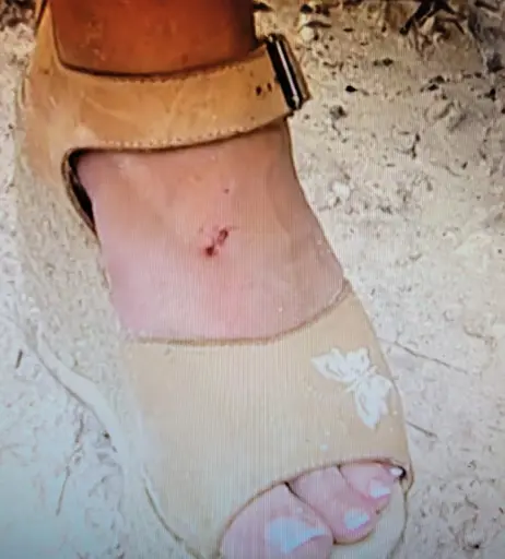 Image 11892656 from WWE Trish Stratus