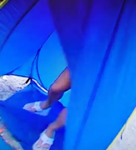 Image 11892648 from WWE Trish Stratus