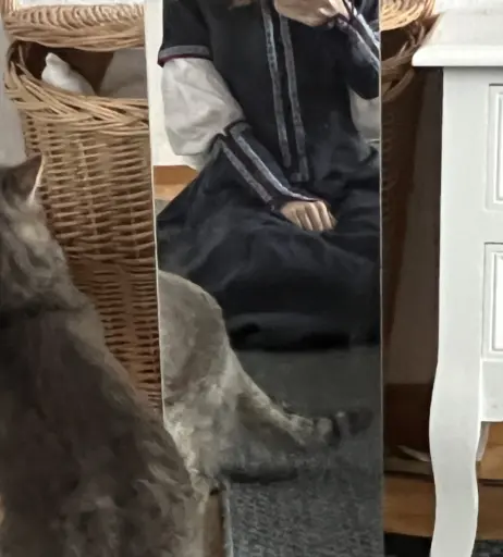 Image 11887123 from inislein