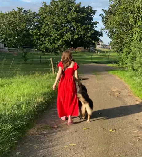 Image 11887121 from inislein