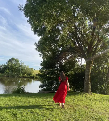 Image 11887120 from inislein