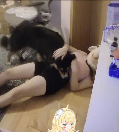 Image 11887116 from inislein