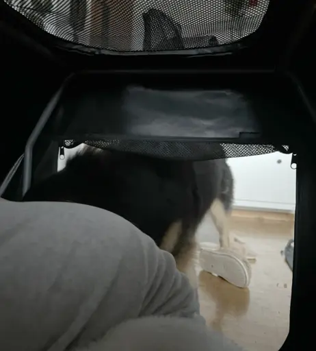 Image 11887155 from inislein