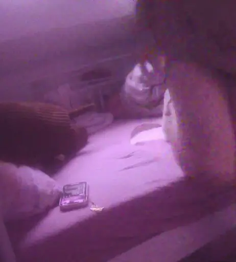 Image 11887143 from inislein