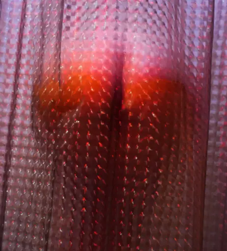 Image 11883186 from Nikola Biela