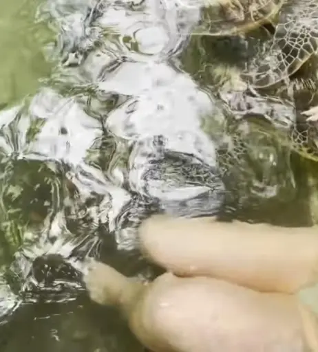 Image 11889190 from Fayesxh