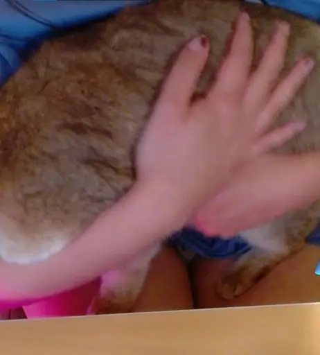 Image 11889053 from Bao | Baovtuber | hoejousama