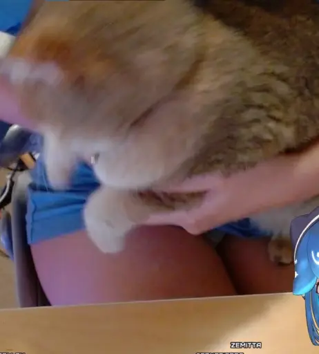 Image 11889056 from Bao | Baovtuber | hoejousama