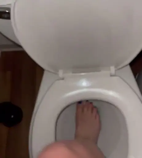 Image 11889045 from Bao | Baovtuber | hoejousama