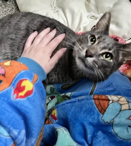 Image 11728873 from Snuffy | snuffyowo