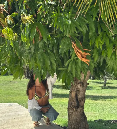 Image 11558036 from Isabella ladera