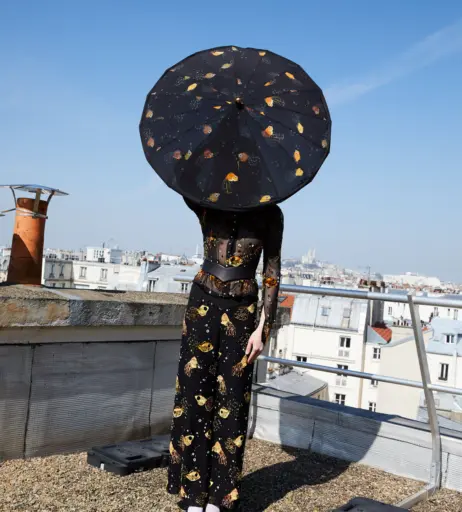 Image 11538699 from Eva Biechy