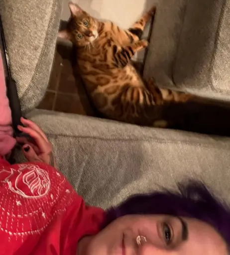 Image 11532644 from WWE Bayley / Davina Rose / Pamela Rose Martinez