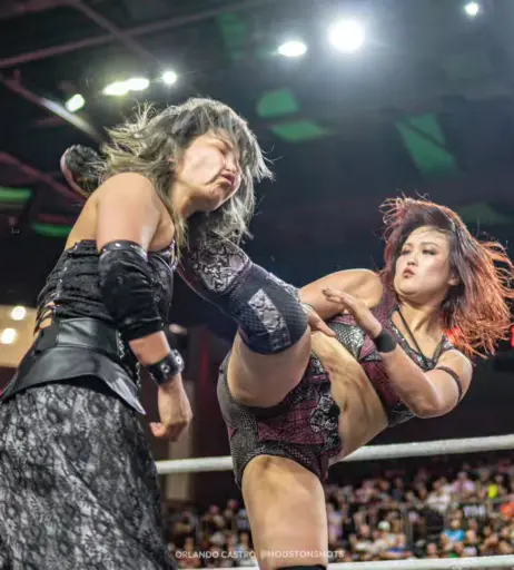 Image 11503881 from Women of Joshi Puroresu