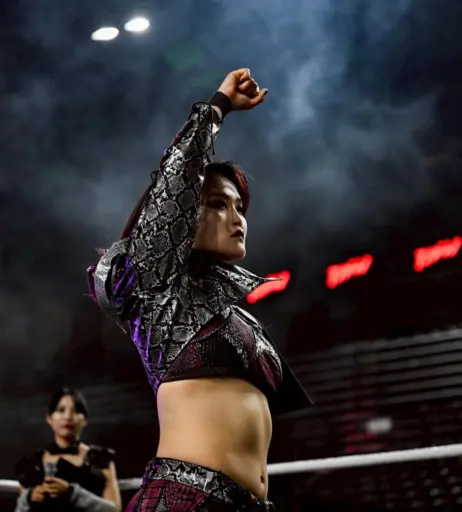 Image 11503880 from Women of Joshi Puroresu