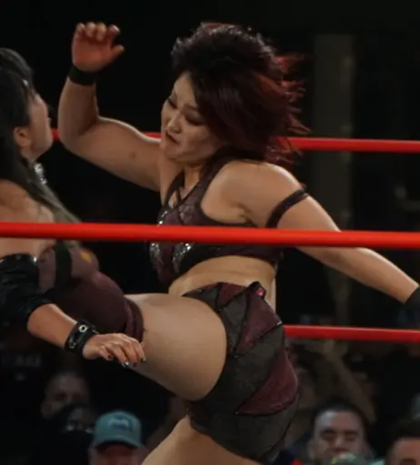 Image 11503877 from Women of Joshi Puroresu