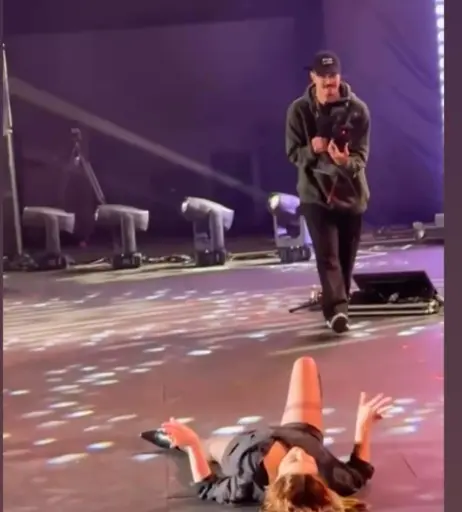 Image 11503097 from Pitty