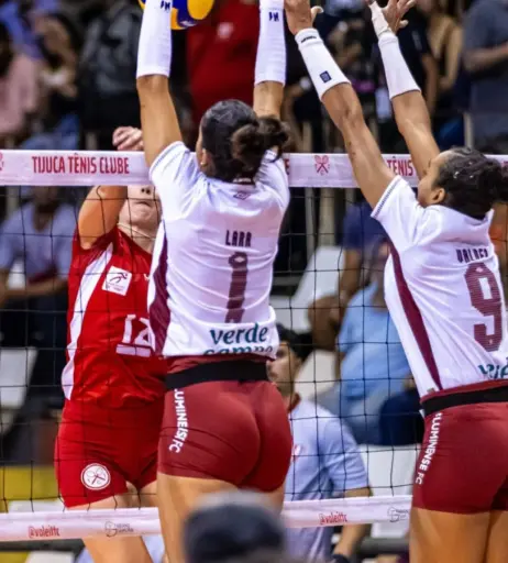 Image 11597335 from Lara Nobre