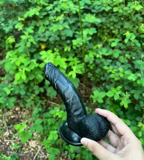 Image 11591222 from Mel Farahmand / strippercoochie