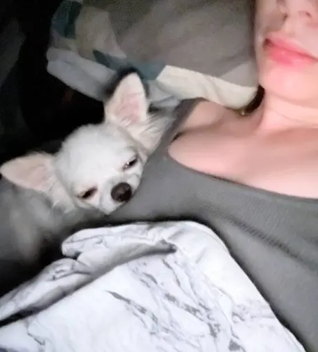 Image 11585537 from Fasoollka / fassoollka