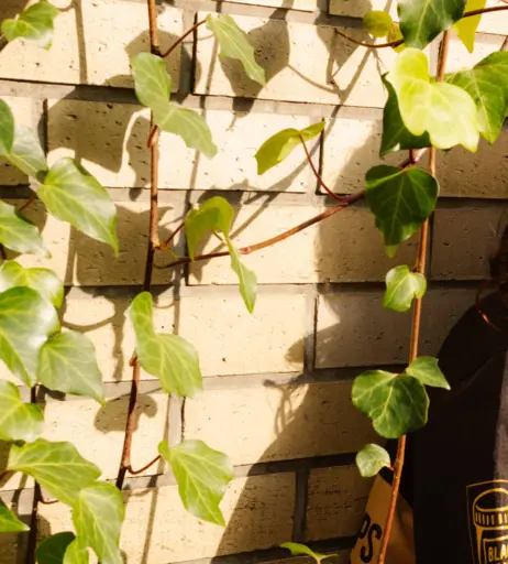 Image 11450190 from Karen Kaede | Lemon Tanaka