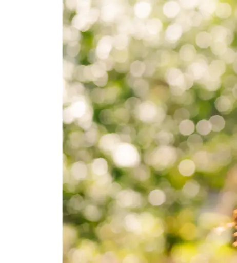 Image 11450213 from Karen Kaede | Lemon Tanaka