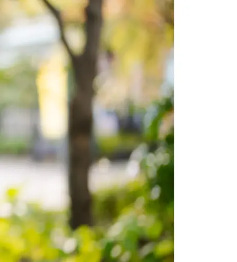 Image 11450202 from Karen Kaede | Lemon Tanaka